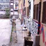Ex Socrate occupato